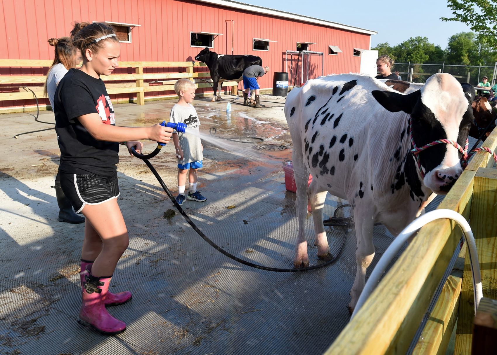 Racine County Fair 2019